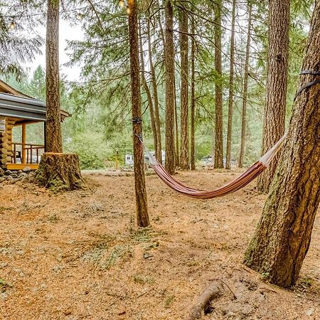 Best Log Cabin Brightwood Ngoại thất bức ảnh